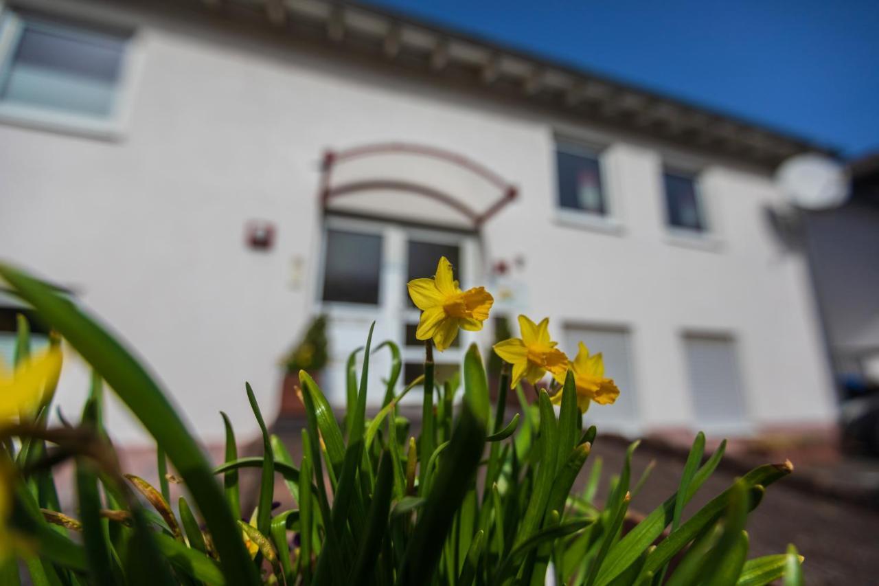 Haus Flora - Ferienwohnungen Кохем Экстерьер фото
